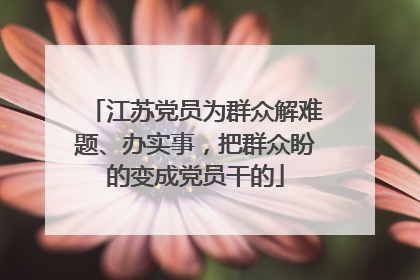江苏党员为群众解难题、办实事，把群众盼的变成党员干的