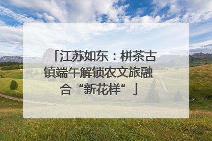 江苏如东：栟茶古镇端午解锁农文旅融合“新花样”