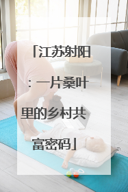 江苏射阳：一片桑叶里的乡村共富密码