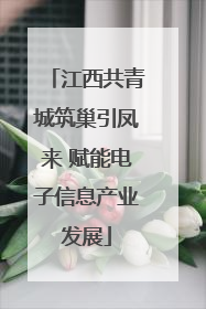 江西共青城筑巢引凤来 赋能电子信息产业发展