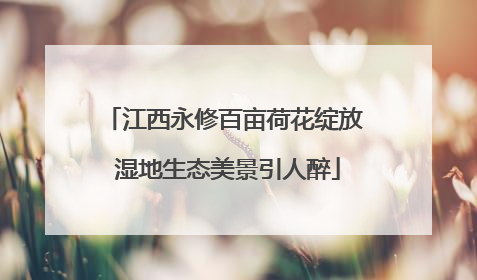 江西永修百亩荷花绽放 湿地生态美景引人醉