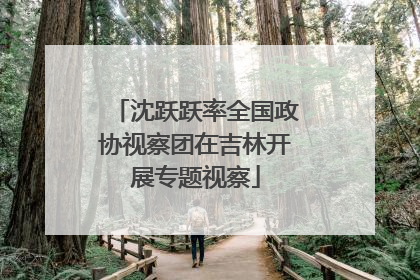 沈跃跃率全国政协视察团在吉林开展专题视察