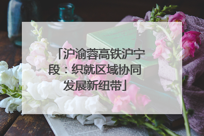 沪渝蓉高铁沪宁段：织就区域协同发展新纽带
