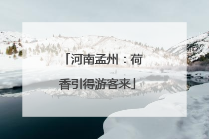 河南孟州：荷香引得游客来