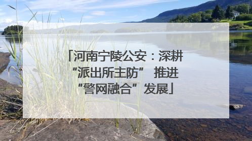 河南宁陵公安：深耕“派出所主防” 推进“警网融合”发展