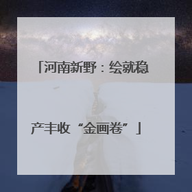 河南新野：绘就稳产丰收“金画卷”