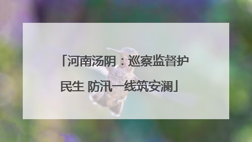 河南汤阴：巡察监督护民生 防汛一线筑安澜