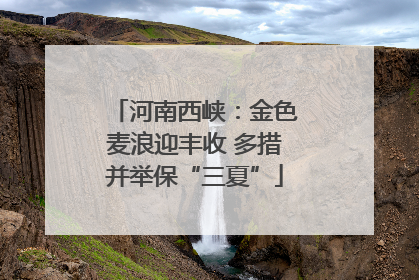河南西峡：金色麦浪迎丰收 多措并举保“三夏”