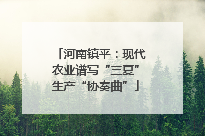 河南镇平：现代农业谱写“三夏”生产“协奏曲”