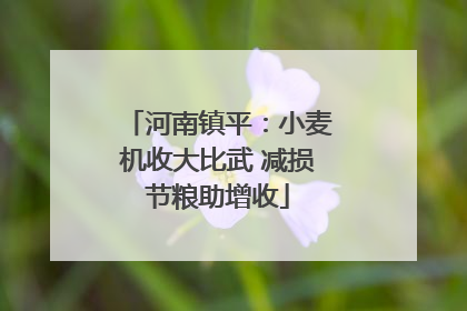 河南镇平：小麦机收大比武 减损节粮助增收