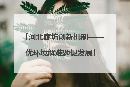 河北廊坊创新机制——优环境解难题促发展