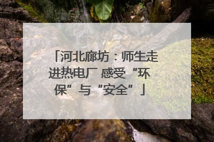 河北廊坊：师生走进热电厂 感受“环保”与“安全”