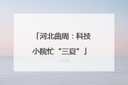 河北曲周：科技小院忙“三夏”