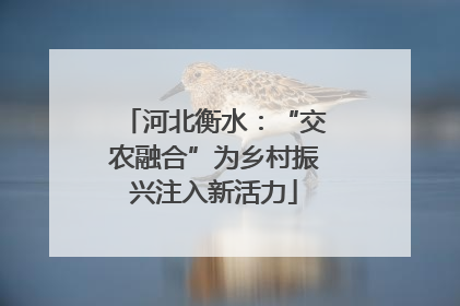 河北衡水：“交农融合”为乡村振兴注入新活力