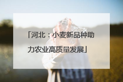 河北：小麦新品种助力农业高质量发展