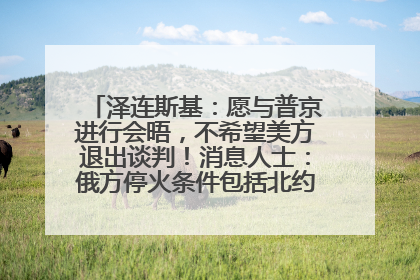 泽连斯基：愿与普京进行会晤，不希望美方退出谈判！消息人士：俄方停火条件包括北约“书面”保证不东扩