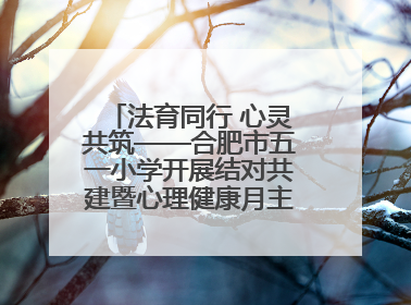 法育同行 心灵共筑——合肥市五一小学开展结对共建暨心理健康月主题活动