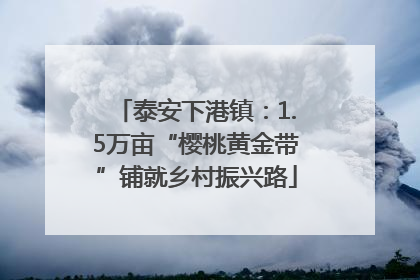 泰安下港镇：1.5万亩“樱桃黄金带”铺就乡村振兴路