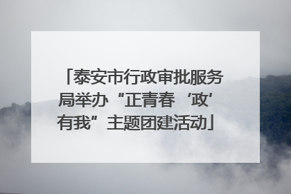 泰安市行政审批服务局举办“正青春‘政’有我”主题团建活动