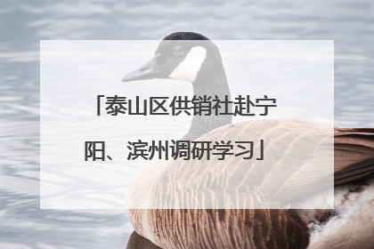 泰山区供销社赴宁阳、滨州调研学习
