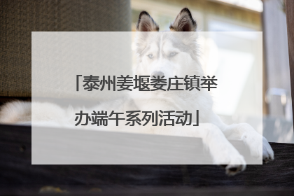 泰州姜堰娄庄镇举办端午系列活动