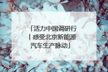 活力中国调研行丨感受北京新能源汽车生产脉动