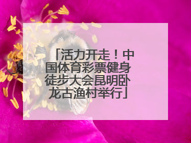 活力开走！中国体育彩票健身徒步大会昆明卧龙古渔村举行