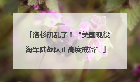洛杉矶乱了！“美国现役海军陆战队正高度戒备”