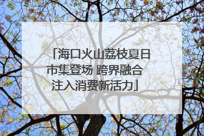 海口火山荔枝夏日市集登场 跨界融合注入消费新活力