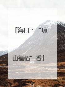海口：“琼山福稻”香