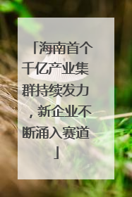 海南首个千亿产业集群持续发力，新企业不断涌入赛道