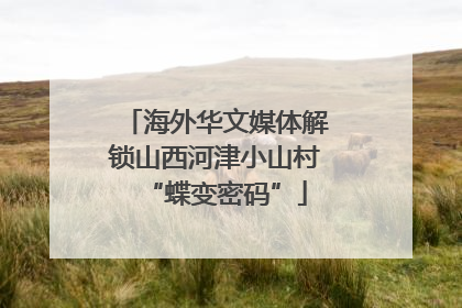 海外华文媒体解锁山西河津小山村“蝶变密码”