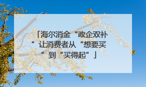 海尔消金“政企双补”让消费者从“想要买”到“买得起”