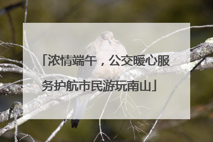 浓情端午，公交暖心服务护航市民游玩南山