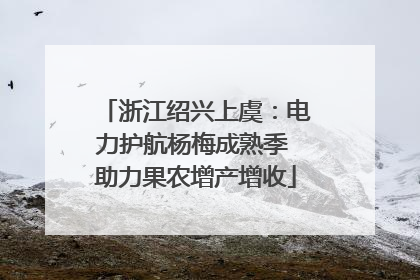 浙江绍兴上虞：电力护航杨梅成熟季 助力果农增产增收
