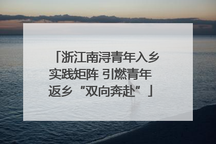 浙江南浔青年入乡实践矩阵 引燃青年返乡“双向奔赴”