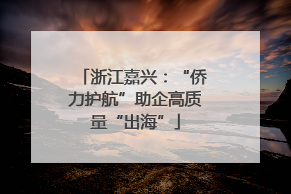 浙江嘉兴：“侨力护航”助企高质量“出海”