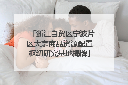 浙江自贸区宁波片区大宗商品资源配置枢纽研究基地揭牌