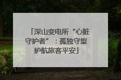 深山变电所“心脏守护者”：孤独守望护航旅客平安
