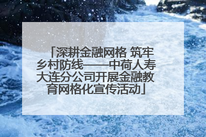 深耕金融网格 筑牢乡村防线——中荷人寿大连分公司开展金融教育网格化宣传活动
