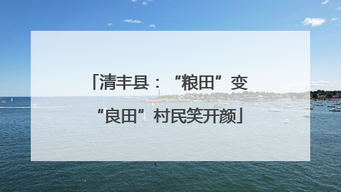 清丰县：“粮田”变“良田”村民笑开颜