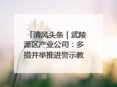 清风头条｜武陵源区产业公司：多措并举推进警示教育走深走实