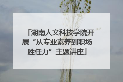 湖南人文科技学院开展“从专业素养到职场胜任力”主题讲座