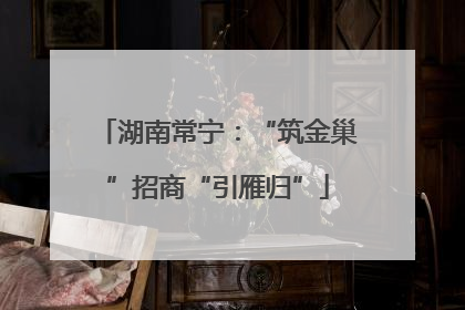 湖南常宁：“筑金巢”招商“引雁归”