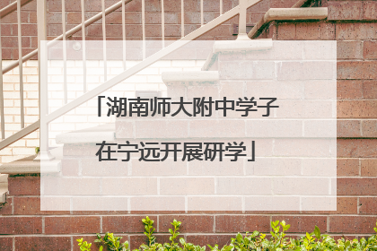 湖南师大附中学子在宁远开展研学