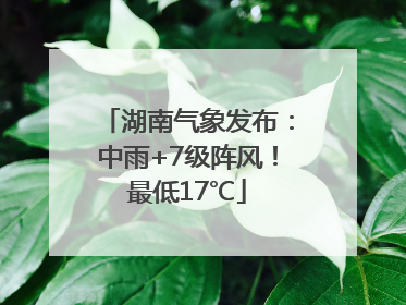 湖南气象发布：中雨+7级阵风！最低17℃