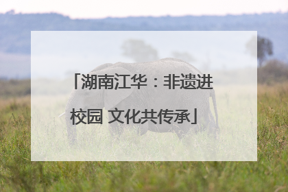 湖南江华：非遗进校园 文化共传承