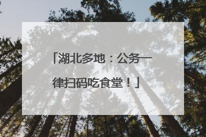 湖北多地：公务一律扫码吃食堂！