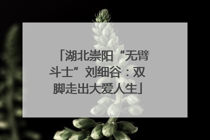 湖北崇阳“无臂斗士”刘细谷：双脚走出大爱人生