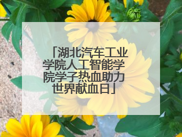 湖北汽车工业学院人工智能学院学子热血助力世界献血日